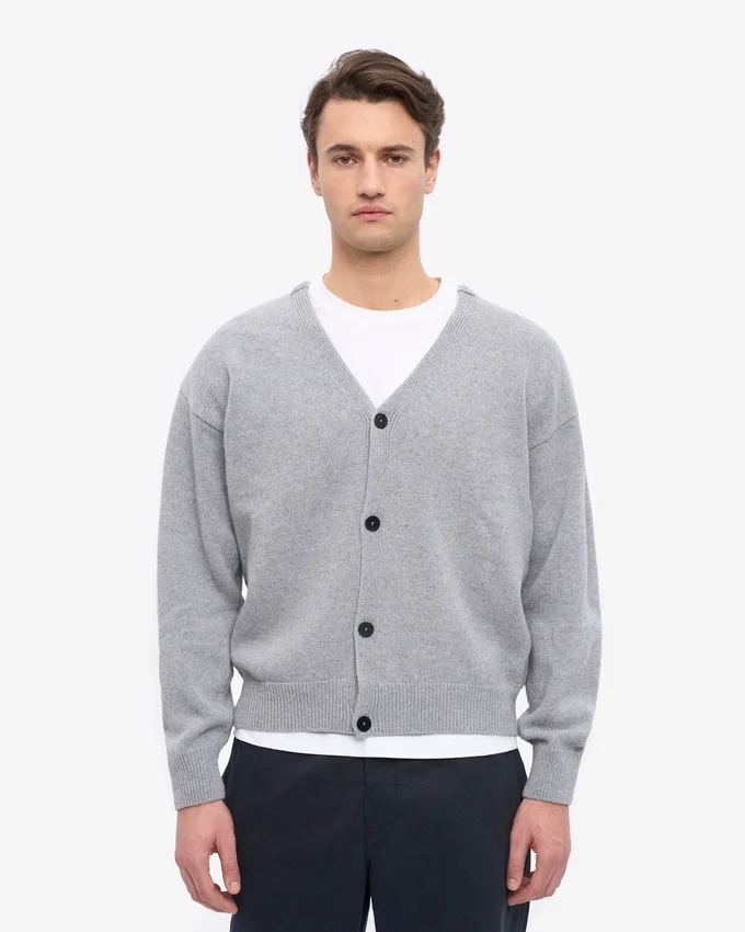 Cardigan en laine mérinos à col en V - Gris chiné