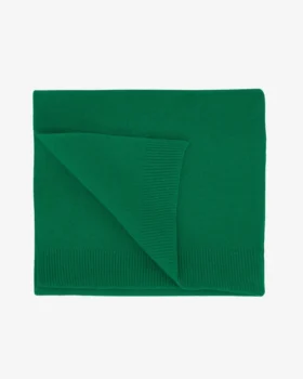 Écharpe en laine mérinos - Vert Kelly