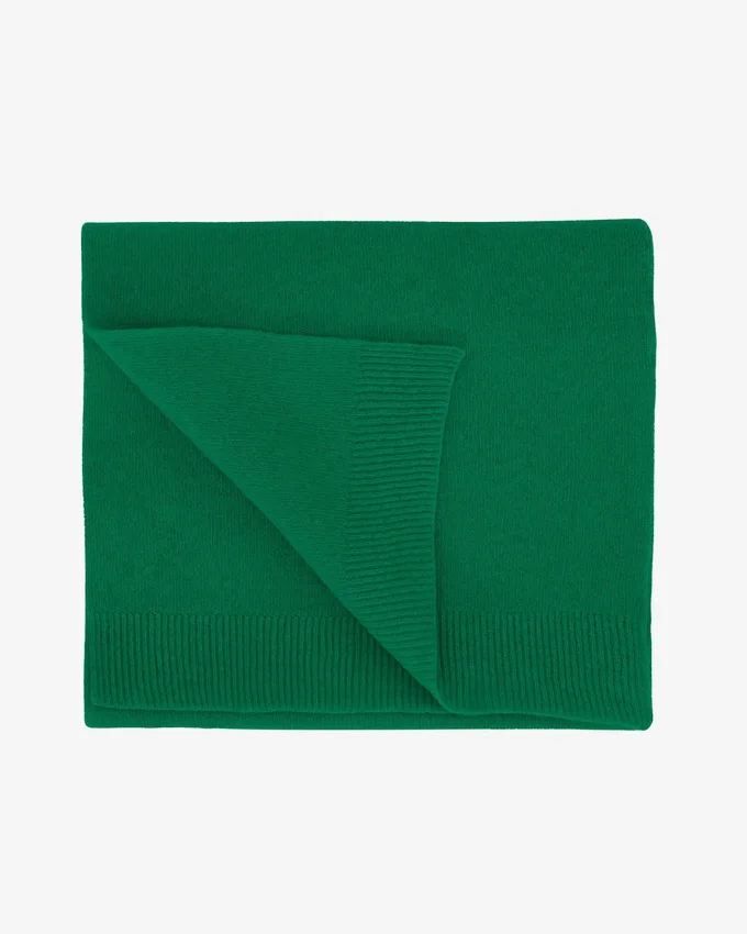 Écharpe en laine mérinos - Vert Kelly