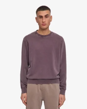 Classic Organic Crew – Raisin délavé