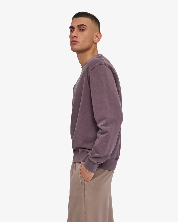 Classic Organic Crew - Raisin délavé