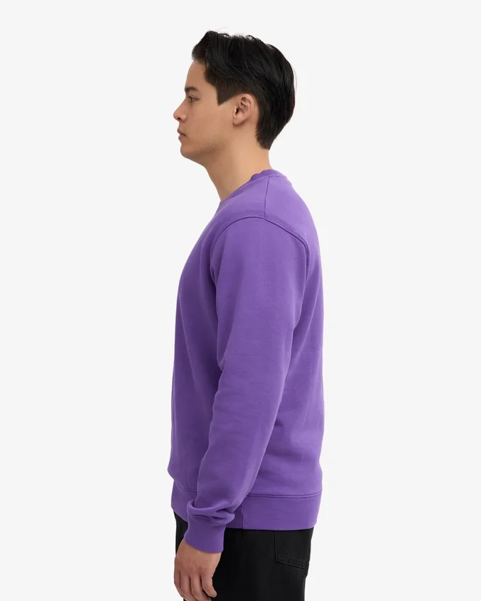 Classic Organic Crew - Violet ultra