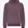 Classic Organic Hood - Faded Grape