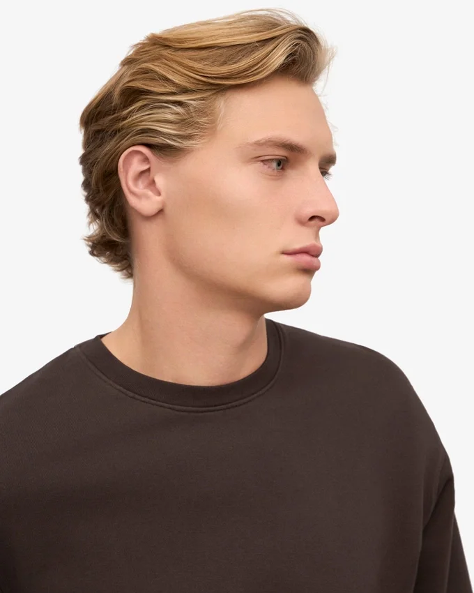 Classic Organic T-shirt en coton bio - Marron café