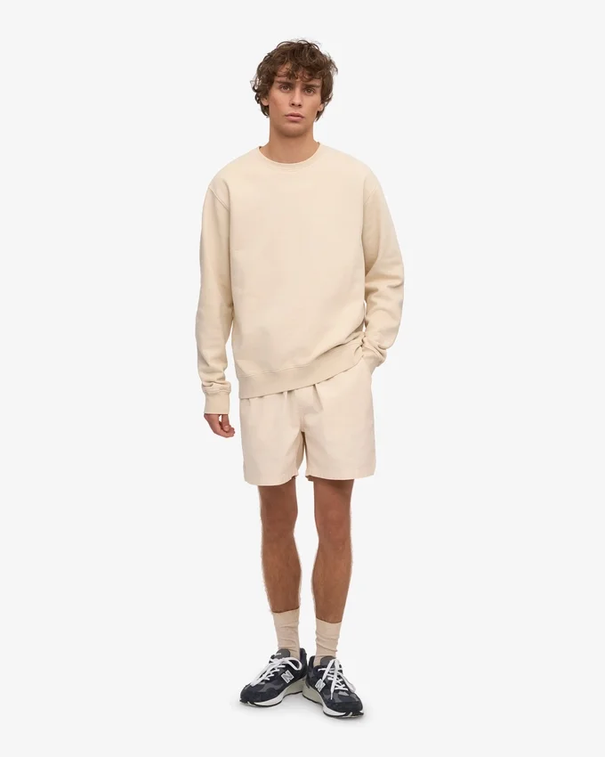 Classic Organic T-shirt - Ivory White