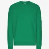 Classic Organic T-shirt - Vert Kelly