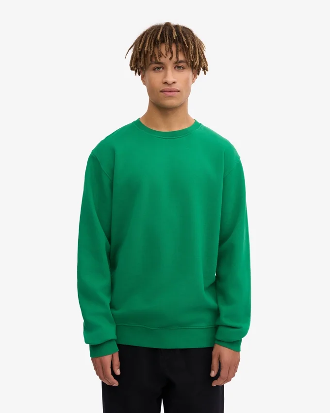 Classic Organic T-shirt - Vert Kelly