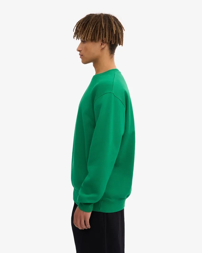 Classic Organic T-shirt - Vert Kelly