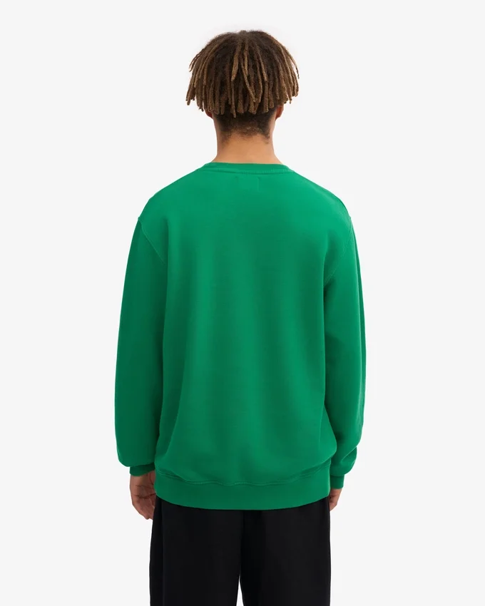 Classic Organic T-shirt - Vert Kelly