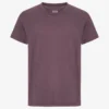 Classic Organic Tee - Faded Grape