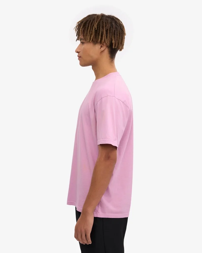 Classic Organic Tee - Fleur de cerisier