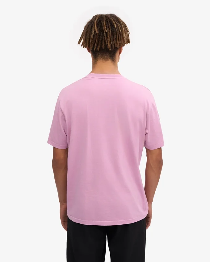 Classic Organic Tee - Fleur de cerisier