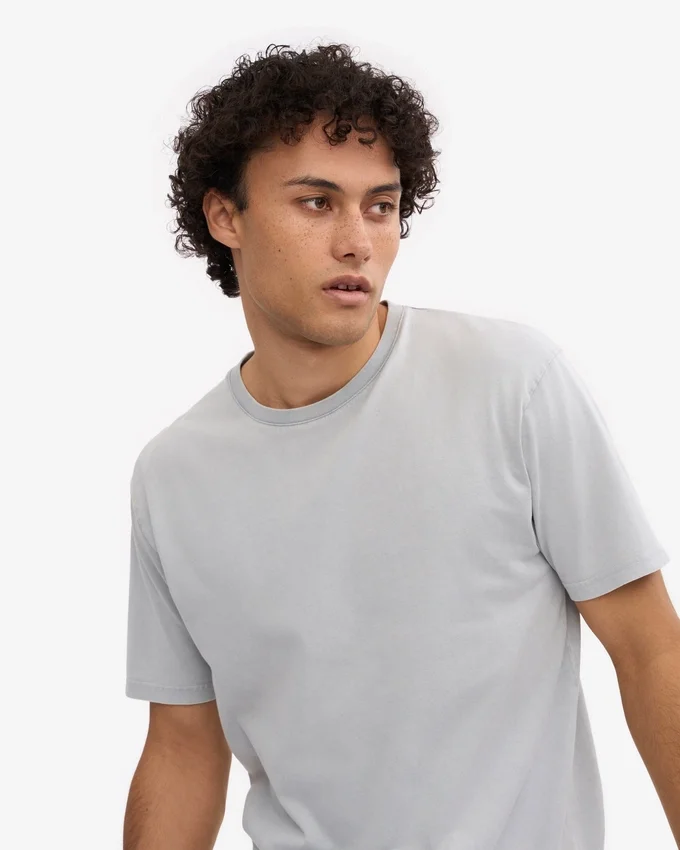 Classic Organic Tee - Gris délavé