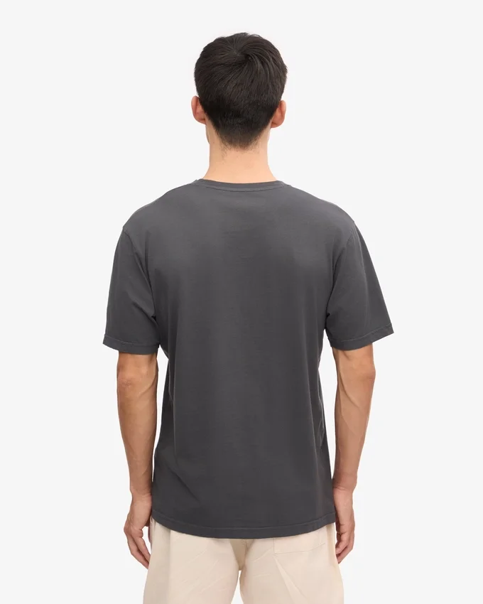 Classic Organic Tee - Gris lave