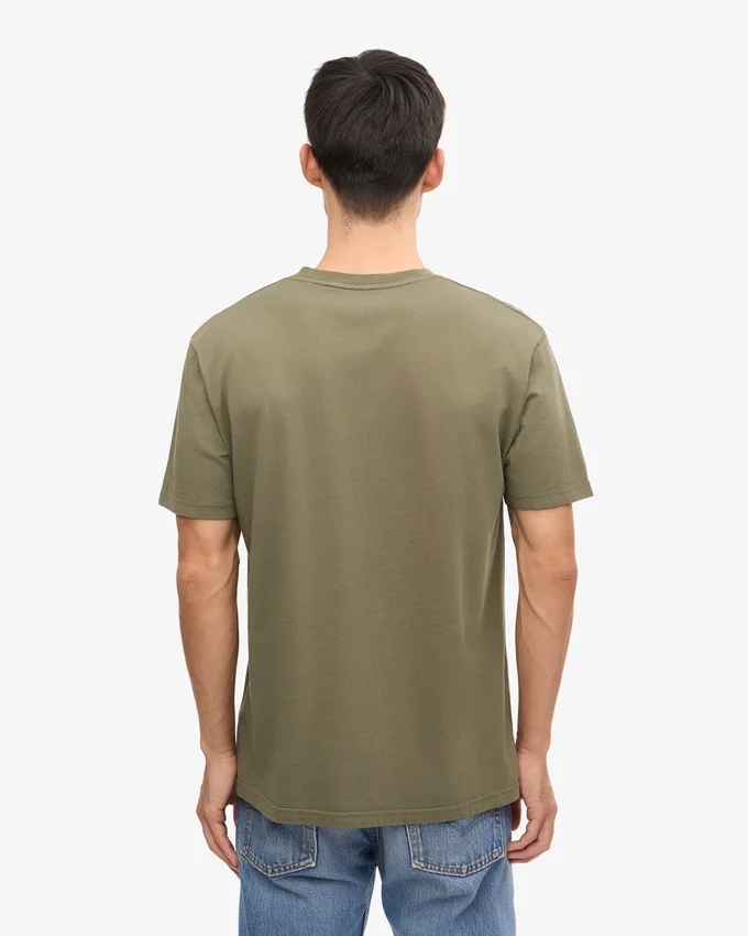 Classic Organic Tee - Olive poudré