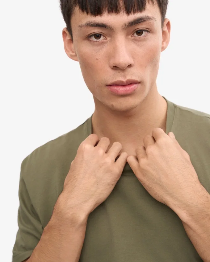Classic Organic Tee - Olive poudré