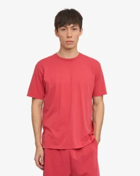 Classic Organic Tee – Rouge délavé