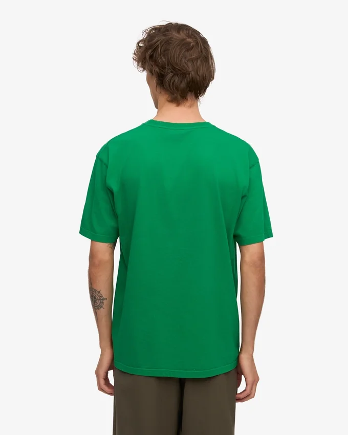 Classic Organic Tee - Vert Kelly