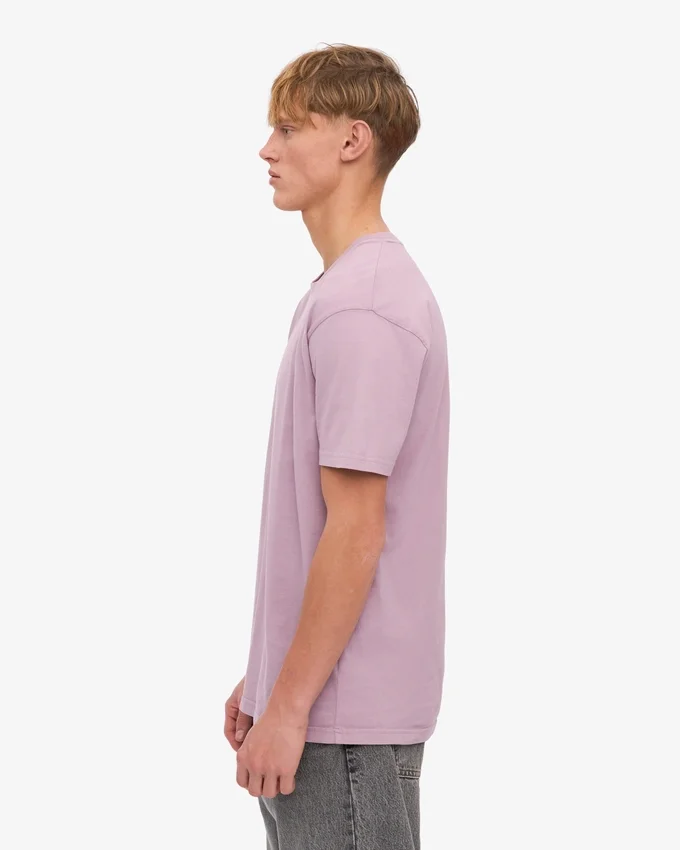 Classic Organic Tee - Violet nacré