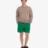 Organic Twill Shorts - Vert Kelly