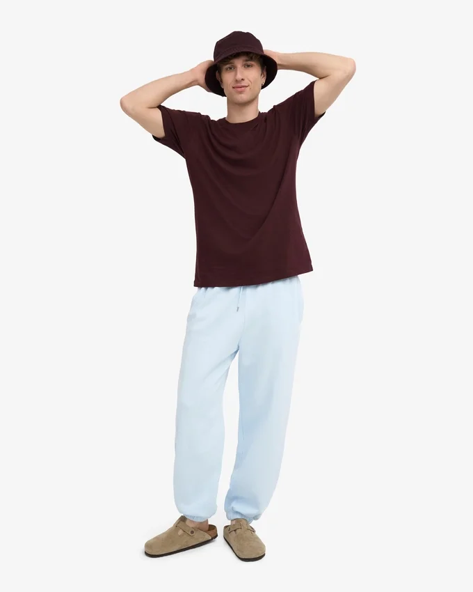 Pantalon de survêtement ample en coton bio - Bleu polaire