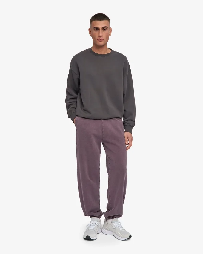 Pantalon de survêtement ample en coton bio - Grape délavé