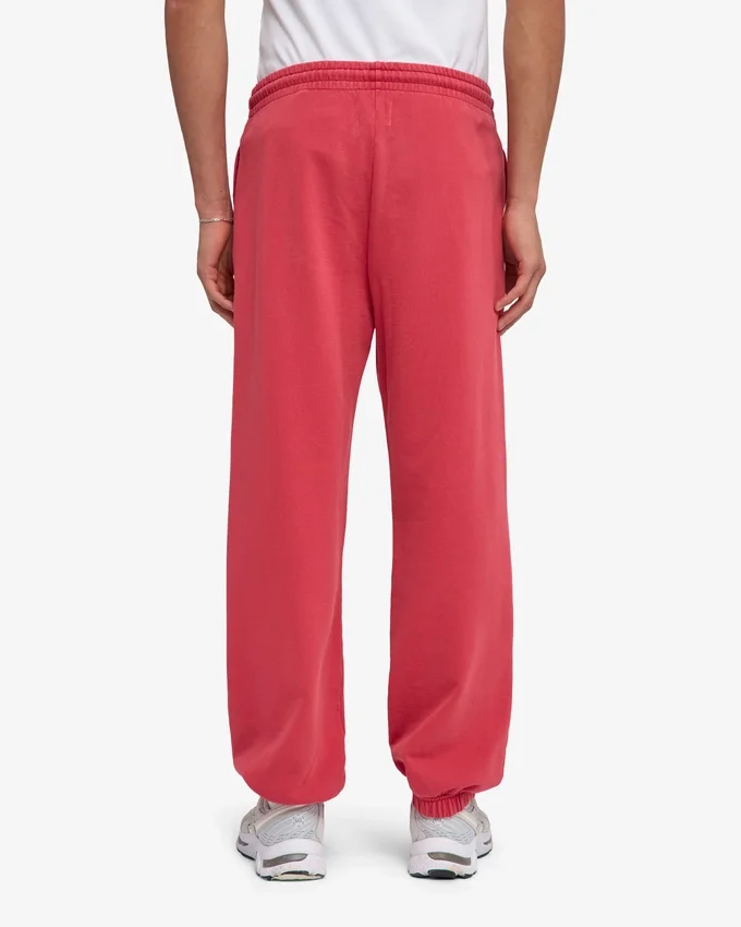 Pantalon de survêtement ample en coton bio - Rouge délavé