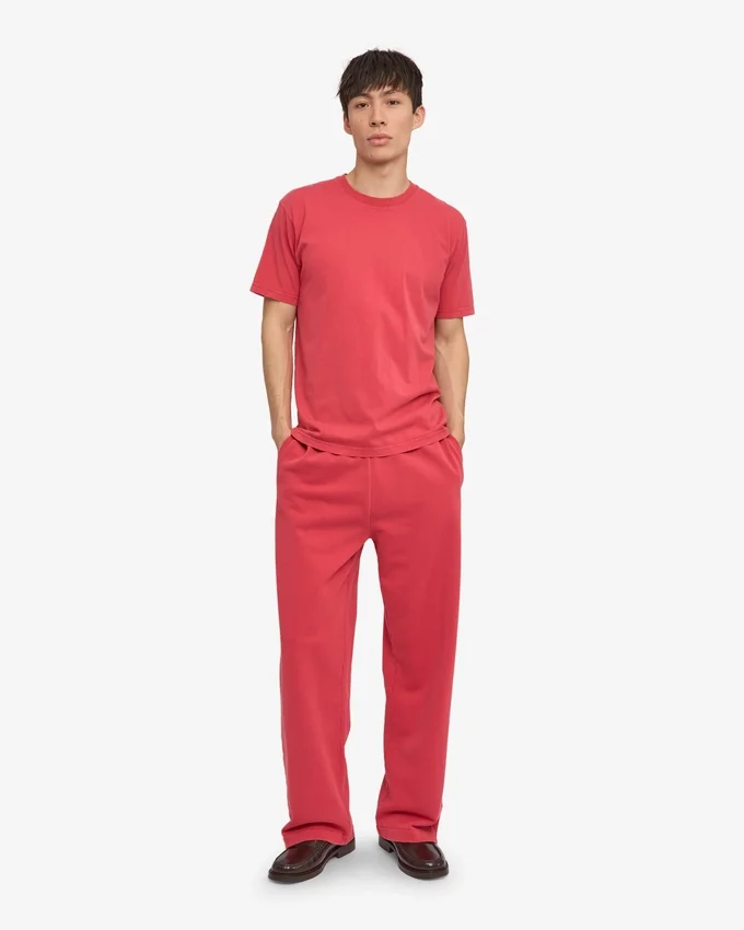 Classic Organic Tee - Rouge délavé