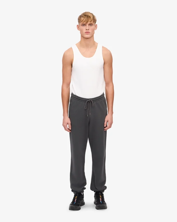 Pantalon de survêtement bio - Gris lave