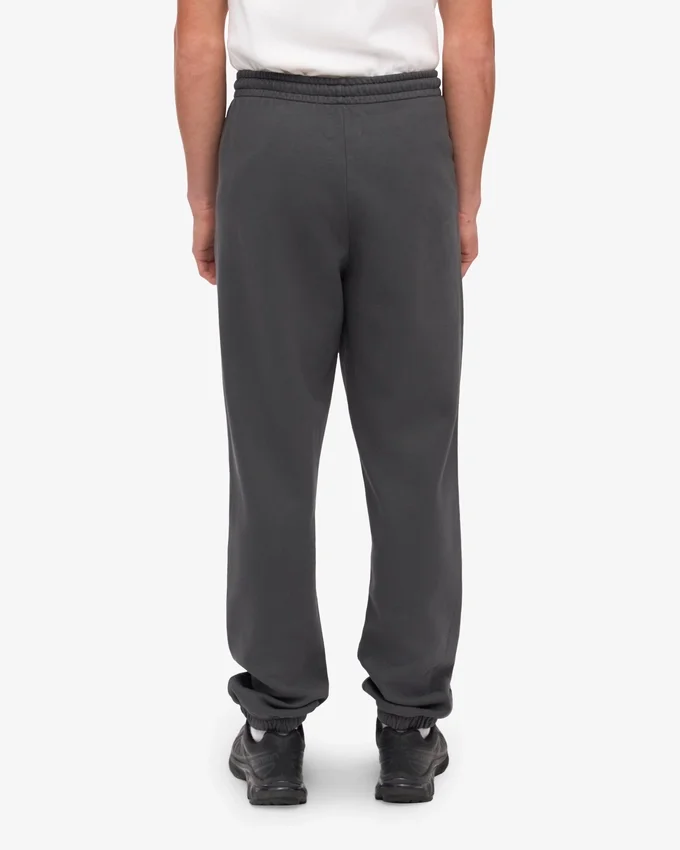 Pantalon de survêtement bio - Gris lave