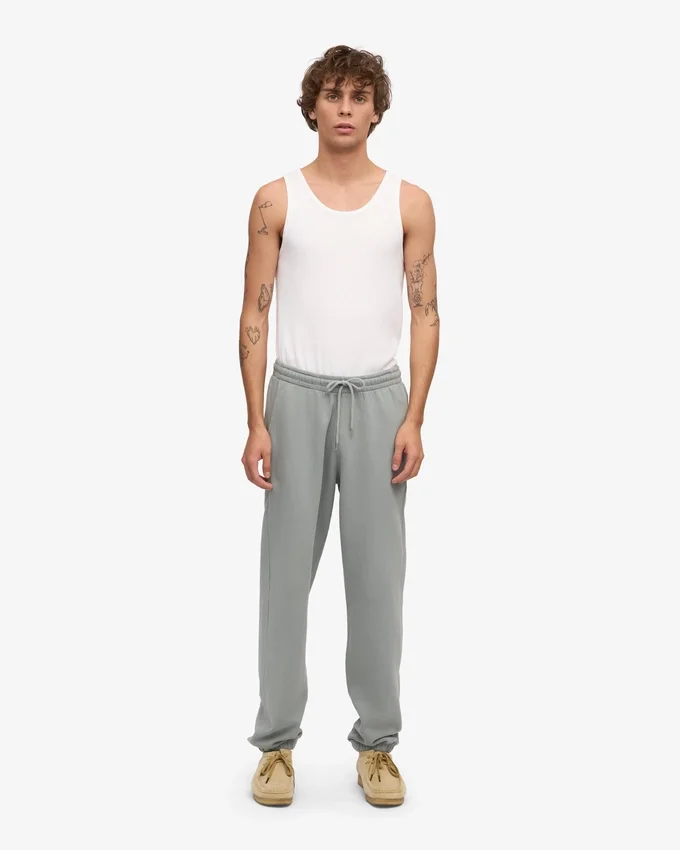 Pantalon de survêtement en coton bio - Bleu acier