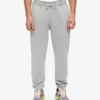 Pantalons de survêtement bio - Gris délavé