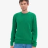 Pull classique en laine mérinos - Vert Kelly