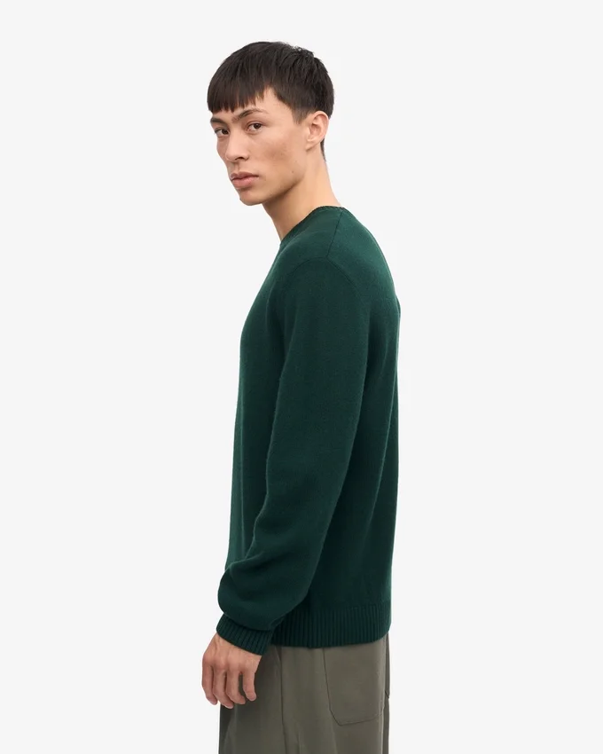 Pull à col rond classique en laine mérinos - Vert émeraude