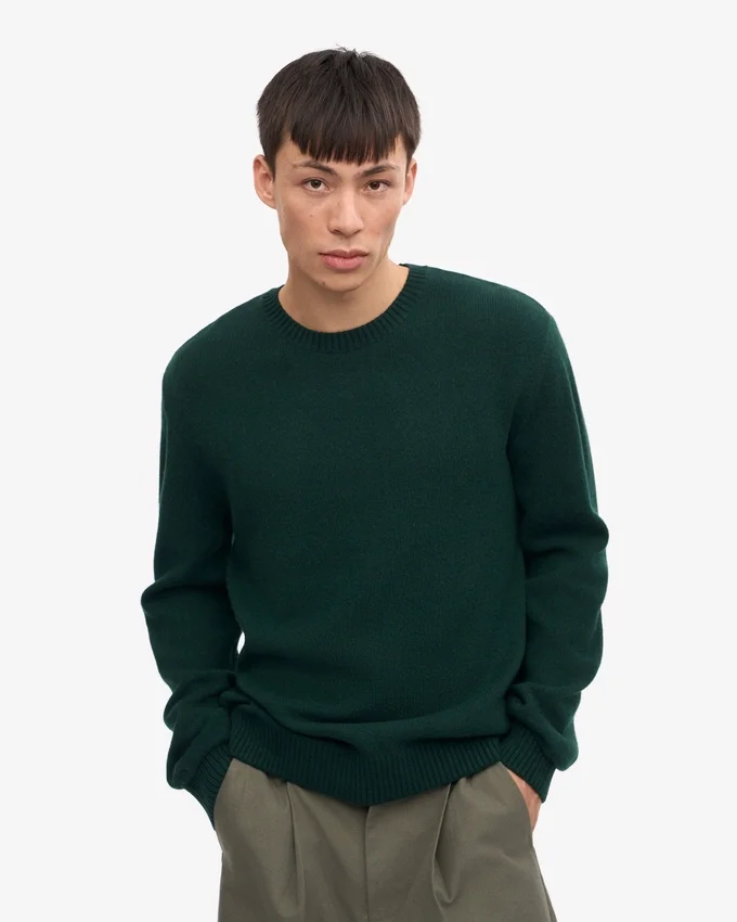 Pull à col rond classique en laine mérinos - Vert émeraude