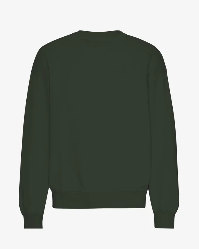 Pull à col rond oversize en coton bio - Vert chasseur