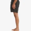 Short de bain classique - Gris lave