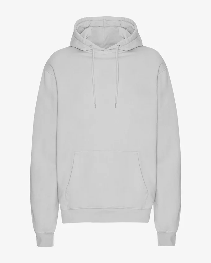 Sweat à capuche Classic Organic bio - Gris délavé