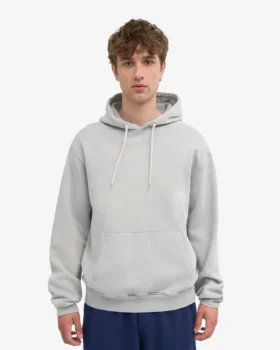 Sweat à capuche Classic Organic bio – Gris délavé
