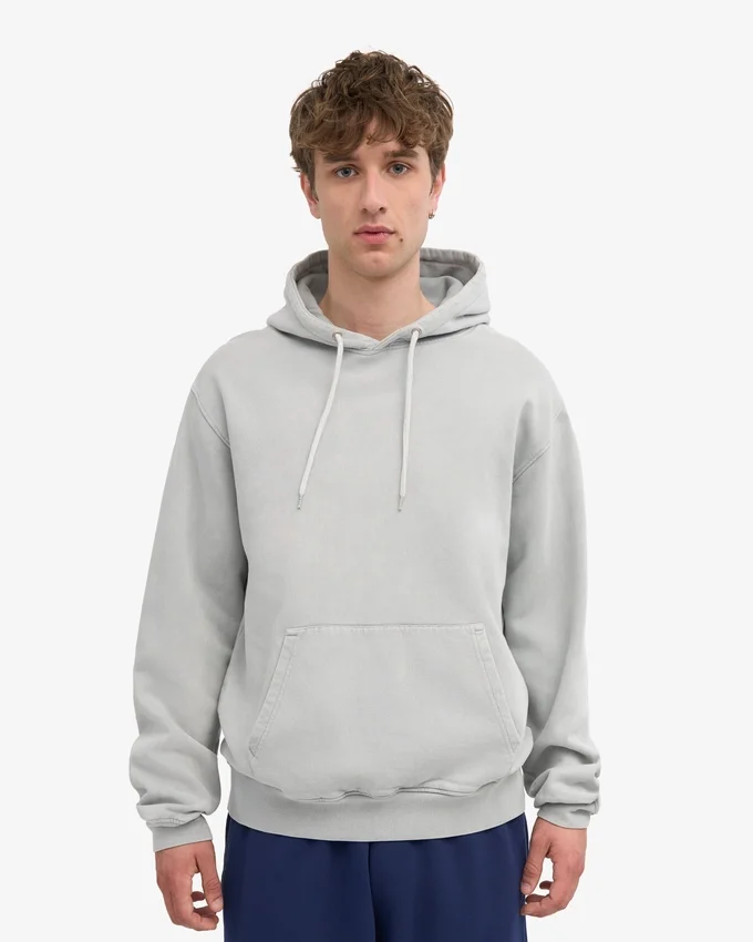 Sweat à capuche Classic Organic bio - Gris délavé