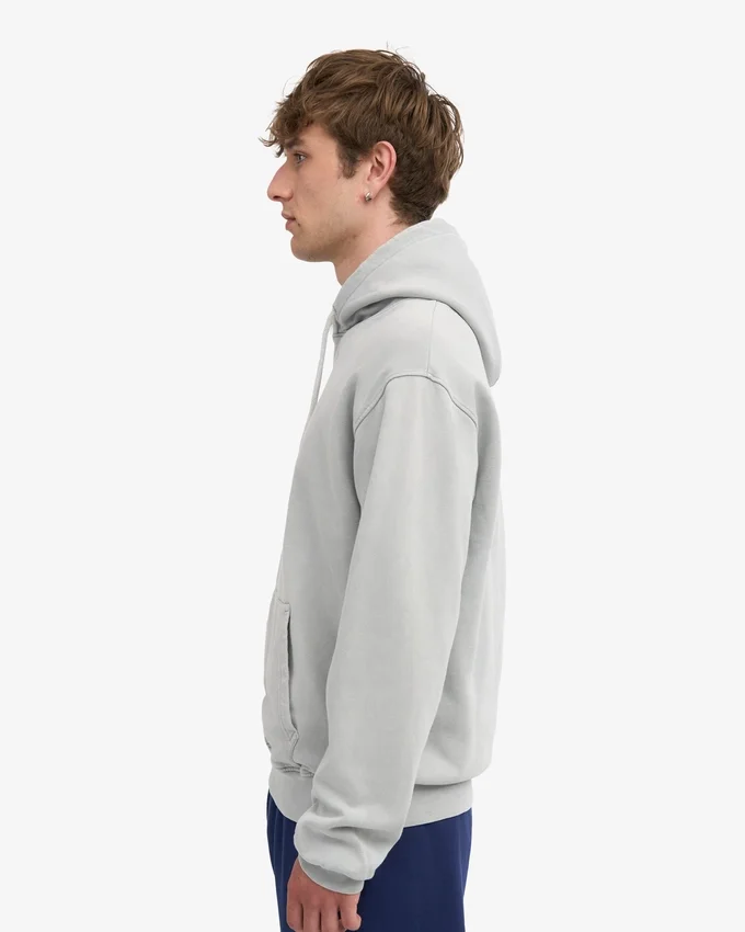 Sweat à capuche Classic Organic bio - Gris délavé
