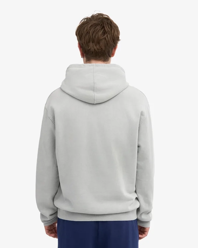 Sweat à capuche Classic Organic bio - Gris délavé
