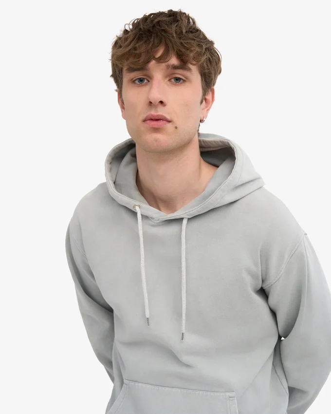 Sweat à capuche Classic Organic bio - Gris délavé