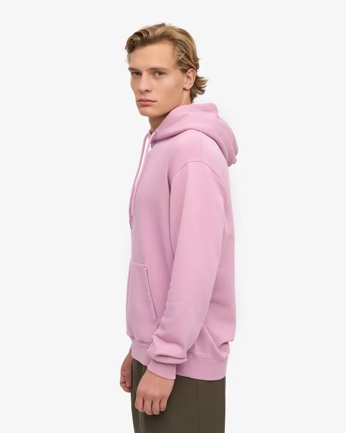 Sweat à capuche Classic Organic en coton bio - Fleur de cerisier