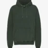 Sweat à capuche Classic Organic en coton bio - Forêt de minuit