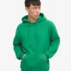 Sweat à capuche Classic Organic en coton bio - Vert Kelly