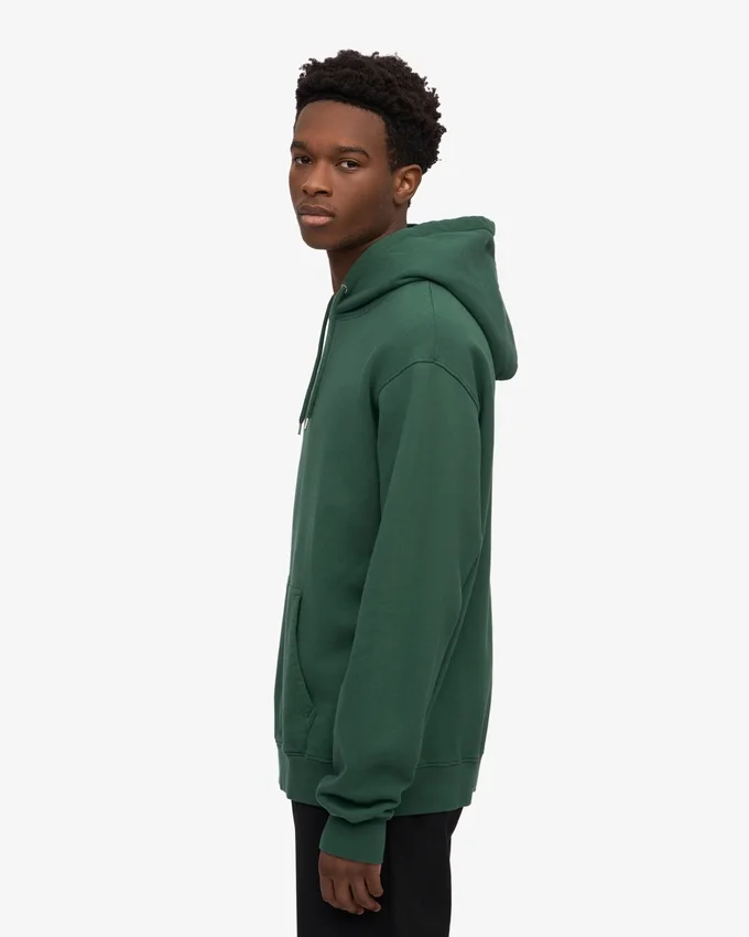 Sweat à capuche Classic Organic en coton bio - Vert émeraude