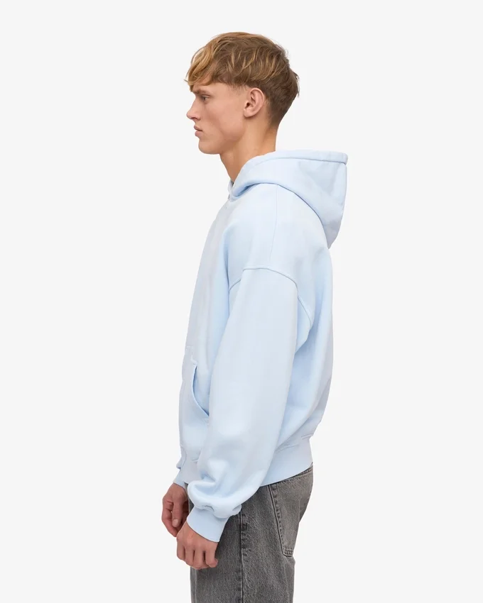 Sweat à capuche oversize en coton bio avec fermeture éclair - Bleu polaire