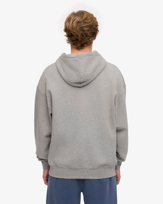 Sweat à capuche oversize en coton bio avec fermeture éclair - Gris chiné