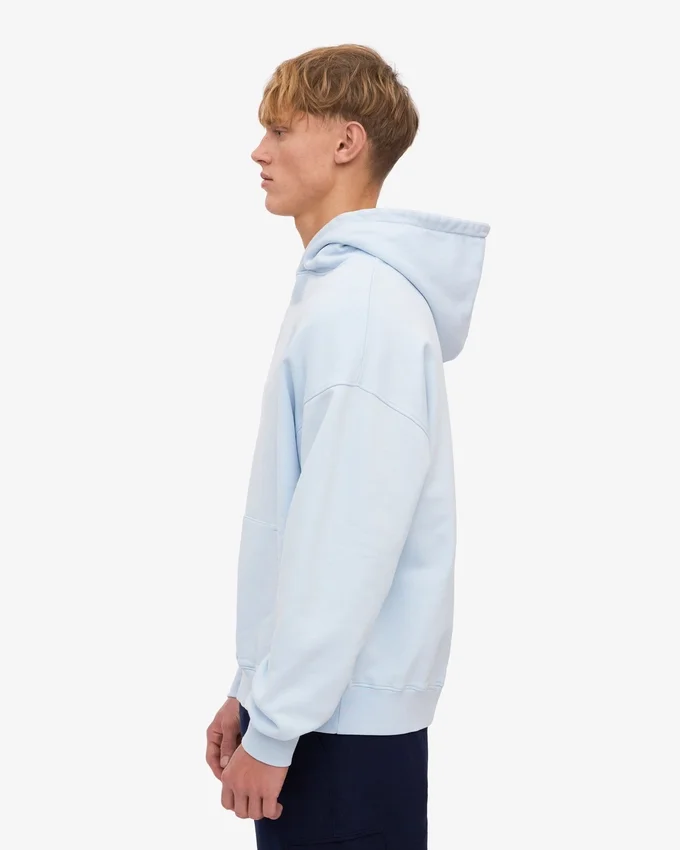 Sweat à capuche oversize en coton bio - Bleu polaire